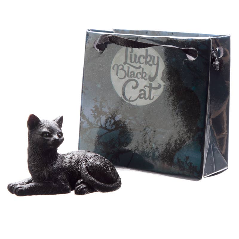 Puckator Ltd Surprise Lucky Black Cat in a Mini Gift Bag Kawaii Gifts 5055071750854