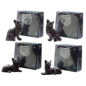 Puckator Ltd Surprise Lucky Black Cat in a Mini Gift Bag Kawaii Gifts 5055071750854
