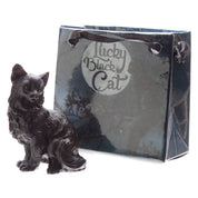 Puckator Ltd Surprise Lucky Black Cat in a Mini Gift Bag Kawaii Gifts 5055071750854