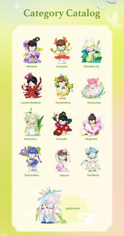 Robotime Nanci Flower S.17 Rolife Surprise Box Kawaii Gifts
