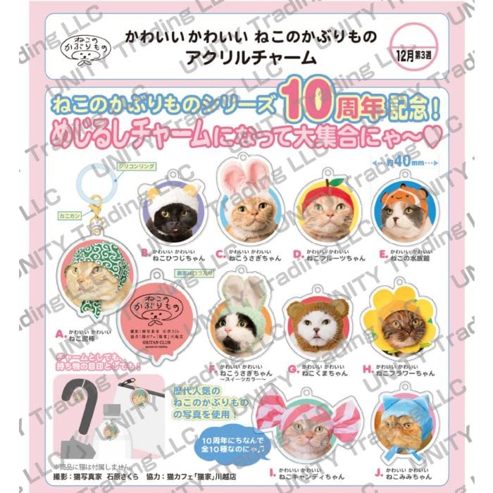Unity Cute Cat Hat Head Acrylic Charm Kawaii Gifts 4571670332679
