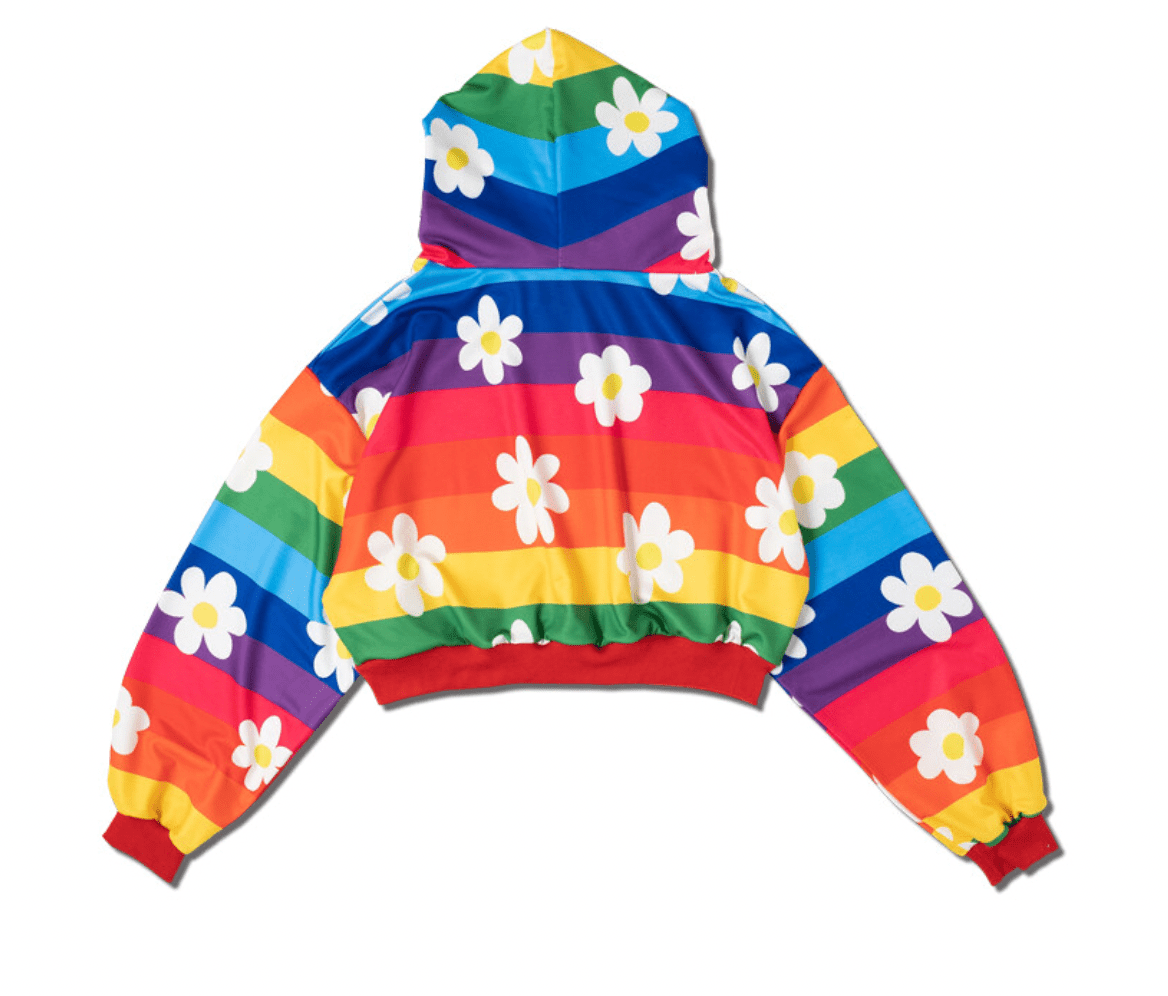 ACDC Rag ACDC Rag Rainbow Y2K Crop Hoodie Kawaii Gifts 2000000061108