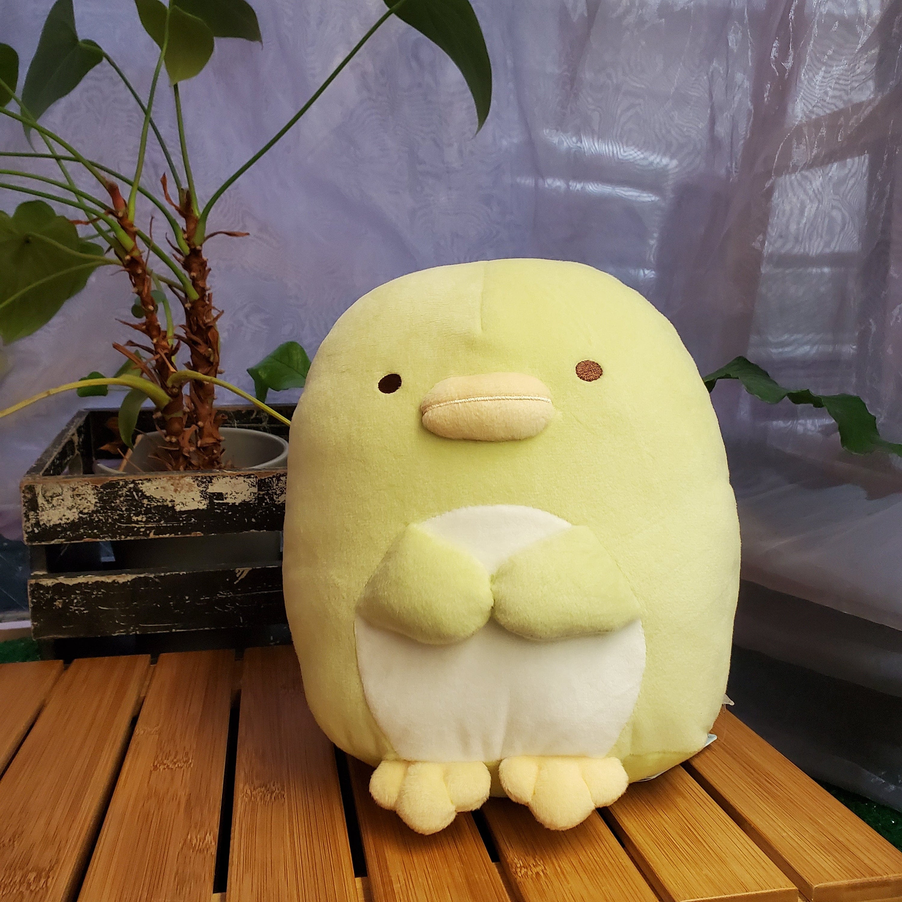 Aliquantum Penguin? Medium Plush Kawaii Gifts 4974413730655