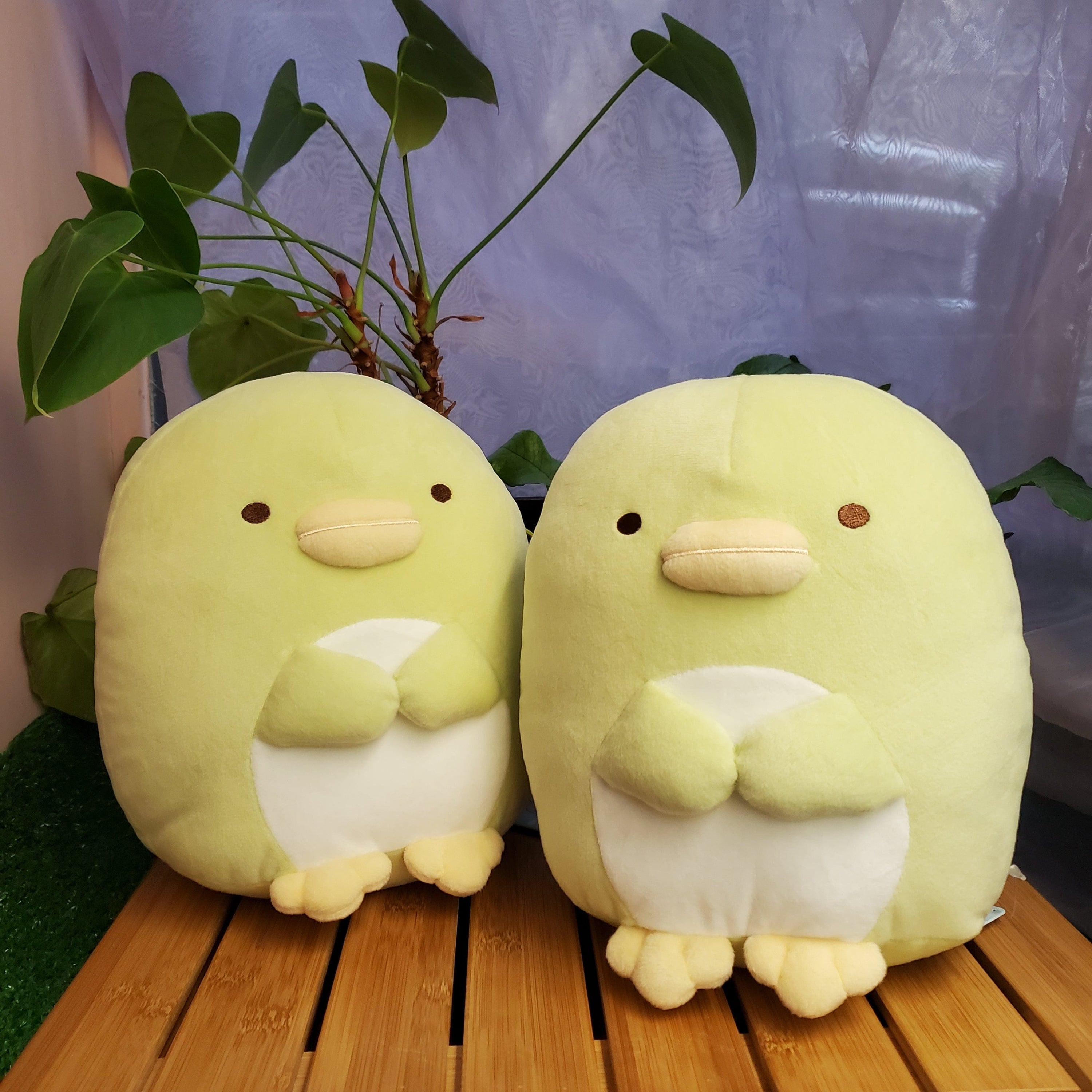 Aliquantum Penguin? Medium Plush Kawaii Gifts 4974413730655