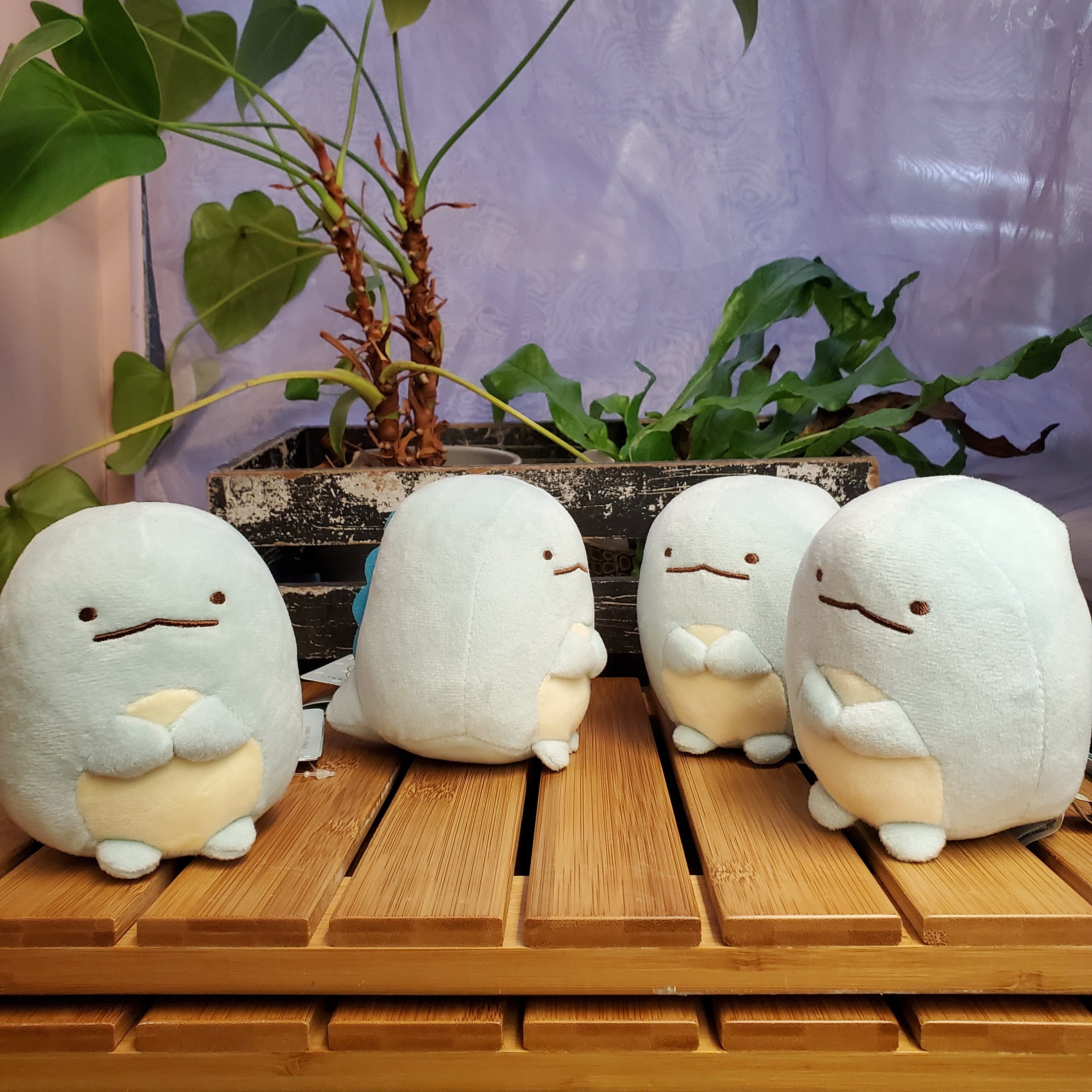 Aliquantum Tokage Small Plush Kawaii Gifts 4974413730754