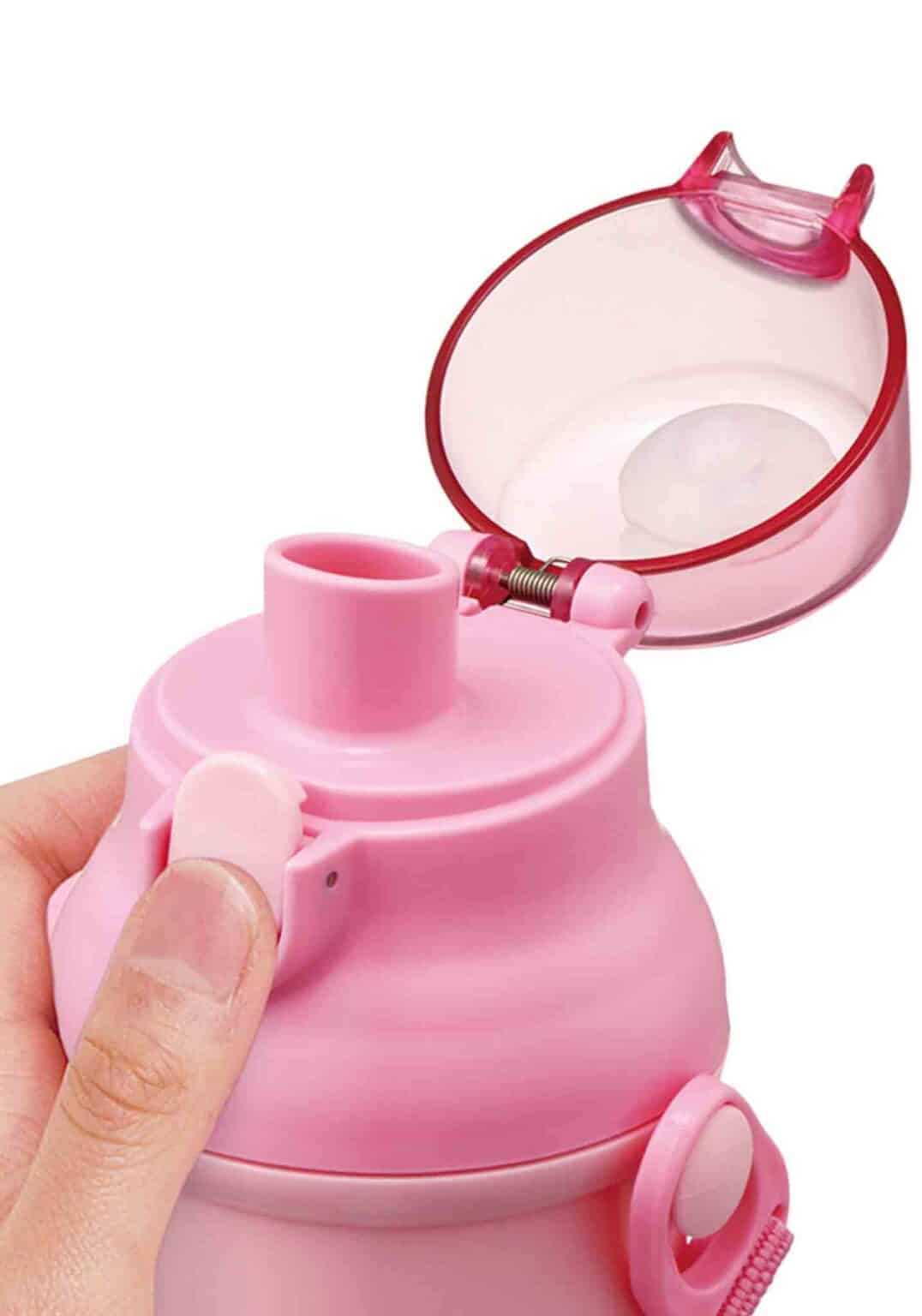 Clever Idiots Sanrio Friends Easy Pop-Up Water Bottle : Cinnamoroll, Hello Kitty, My Melody Kawaii Gifts