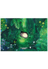Clever Idiots My Neighbor Totoro A4 Plastic File Folders Forest Kawaii Gifts 4549743646886