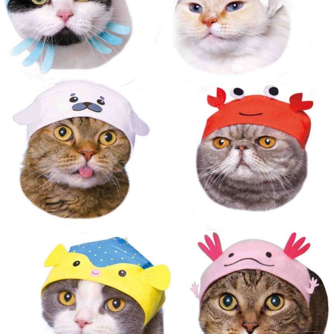 Clever Idiots Aquarium V2 Cat Cap Surprise Box Kawaii Gifts 4580045301233