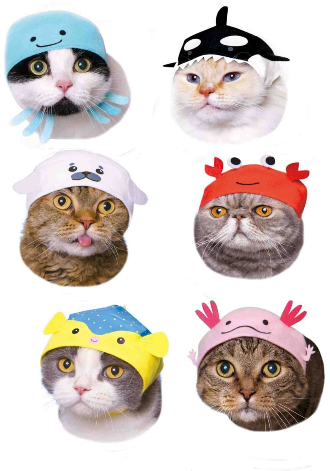 Clever Idiots Aquarium V2 Cat Cap Surprise Box Kawaii Gifts 4580045301233