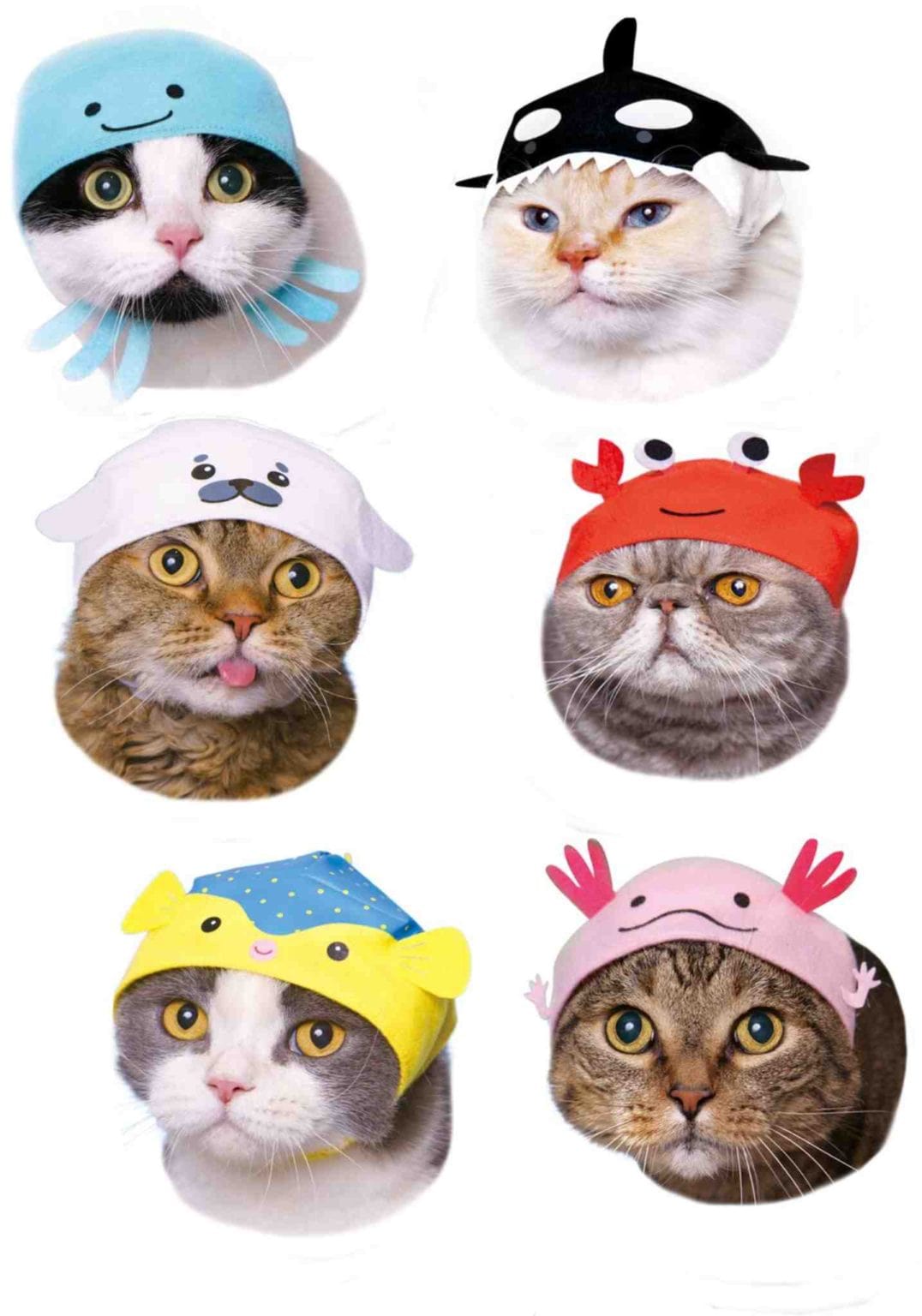 Clever Idiots Aquarium V2 Cat Cap Surprise Box Kawaii Gifts 4580045301233