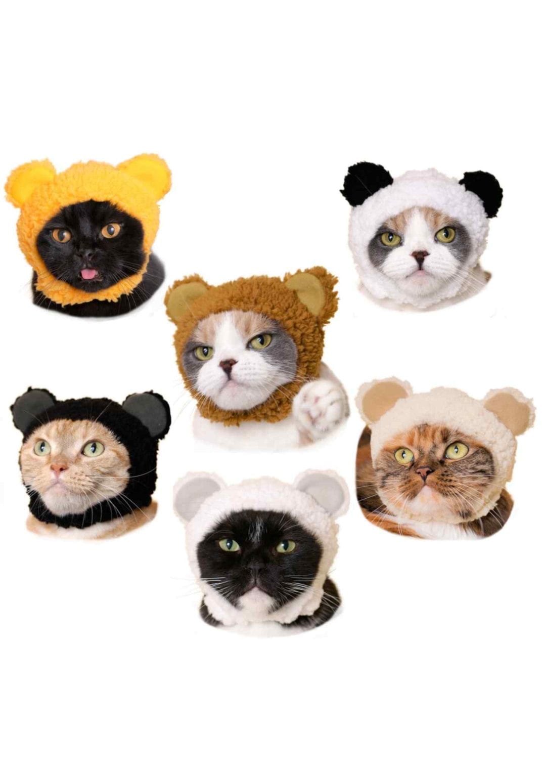 Clever Idiots Bear Cat Cap Surprise Box Kawaii Gifts 4580045300274