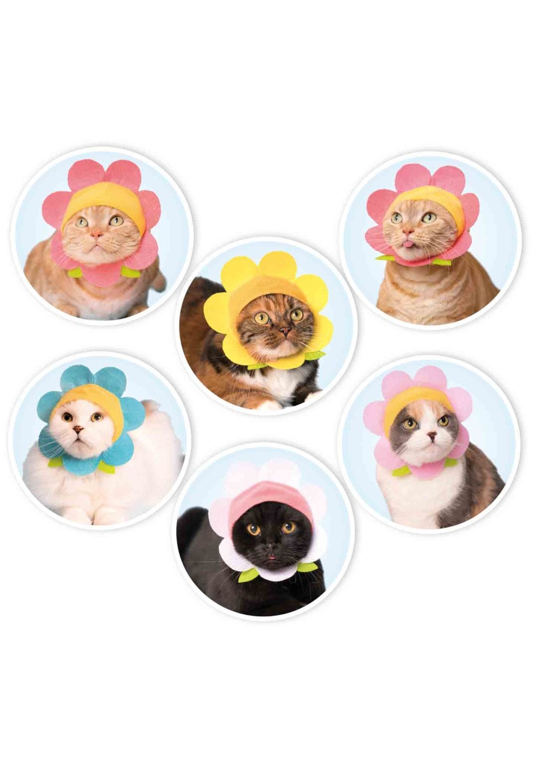 Flower Cat Cap Surprise Box – Kawaii Gifts - Main Image