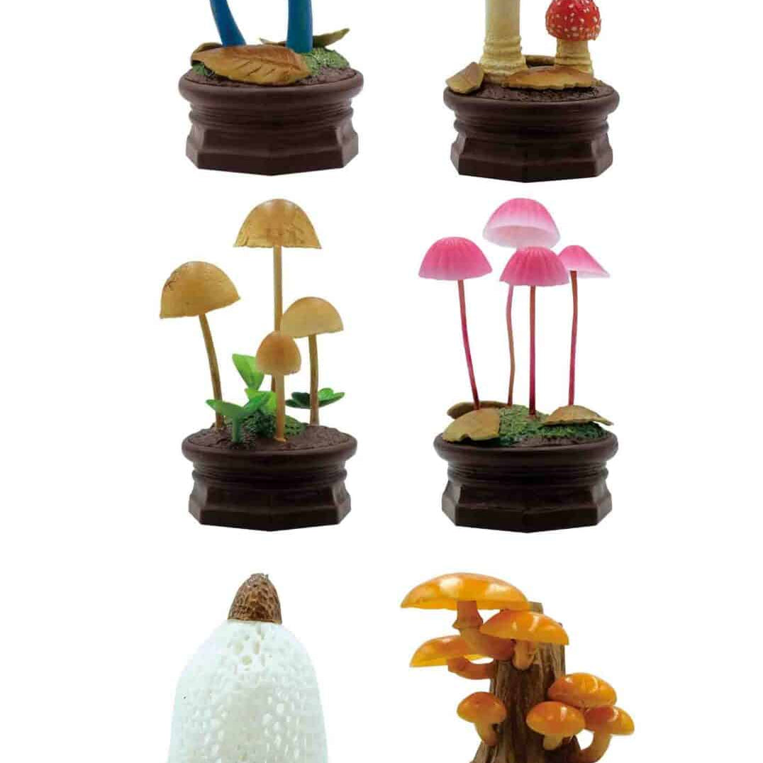 Clever Idiots Qualia: Mushroom Garden Surprise Box Version 1 Kawaii Gifts 4589795377116