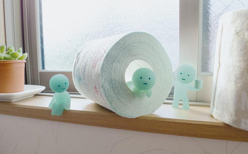 Dreams USA Smiski Toilet 3" GID Figure Surprise Box Kawaii Gifts 4542202662182