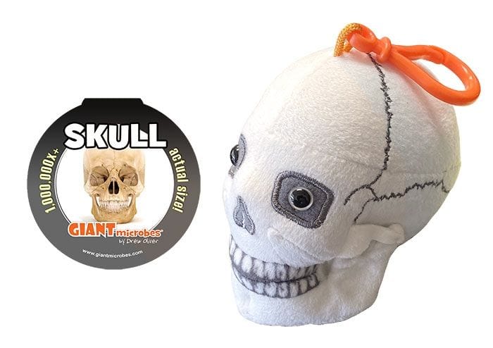 Giant Microbes Skull Keychain Kawaii Gifts 846869011197