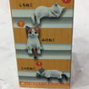 Hakubundo Resting Cat Surprise Box Kawaii Gifts 4589469838950