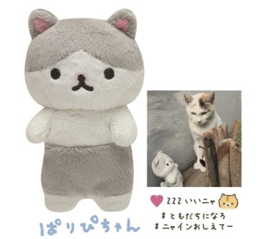 San-X Corocoro Coronya Puri-Chan White and Grey Cat 6Ó Plush
