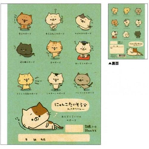 Kamio Cat School B5 Kanji and Graph Notebooks