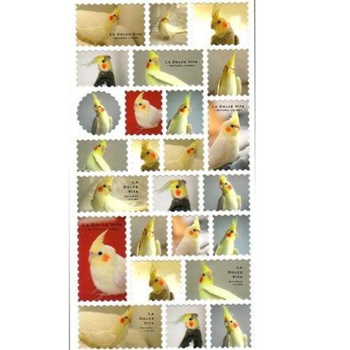 Mind Wave La Doce Vita Cockatiel Bird Stickers