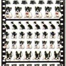 Q-Lia Photrip Boston Terrier Stickers