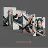 Korea Pop Store BLACKPINK - 2ND ALBUM [Born Pink] DIGIPACK VER. (RANDOM) Kawaii Gifts